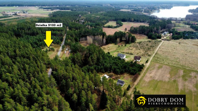 Działka 9100m2 Serski Las — wnętrze 2