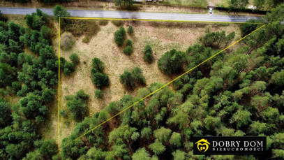 Działka 9100m2 Serski Las — zdjęcie 7 z 15