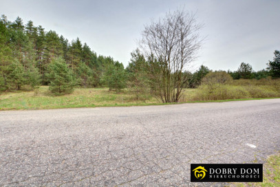 Działka 9100m2 Serski Las — zdjęcie 8 z 15