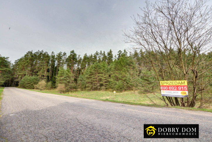 Działka Sprzedaż Serski Las 13