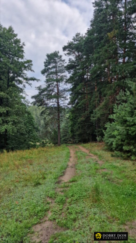Działka Sprzedaż Krynice 10