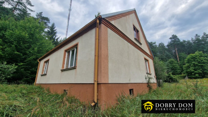 Dom 120m2 Krynice — zdjęcie 9 z 12