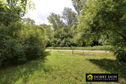 Działka 12500m2 Dąbrowa Białostocka — wnętrze 2