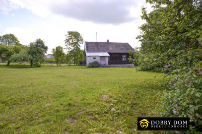 Działka 12500m2 Dąbrowa Białostocka — zdjęcie 16 z 21
