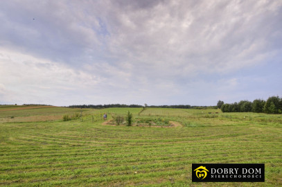 Dom 35m2 Iwaniszki — zdjęcie 36 z 51