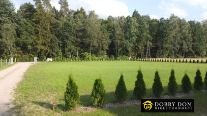 Działka 1753m2 Rzepiski — zdjęcie 5 z 11