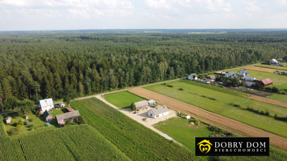 Działka 1753m2 Rzepiski — zdjęcie 6 z 11