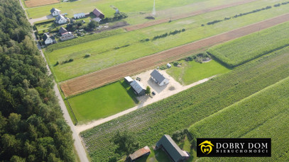 Działka 1753m2 Rzepiski — zdjęcie 7 z 11