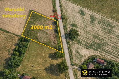Działka 3000m2 Rafałówka - widok główny