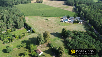 Działka 4262m2 Kościuki — zdjęcie od frontu