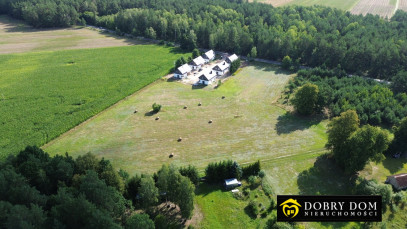 Działka 4262m2 Kościuki — wnętrze 2