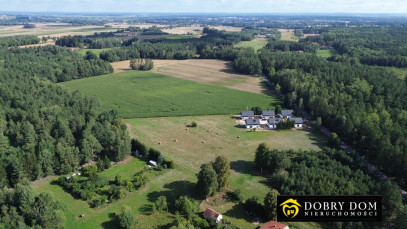 Działka 4262m2 Kościuki — zdjęcie 7 z 10