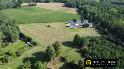 Działka 4262m2 Kościuki — zdjęcie 9 z 10
