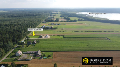 Działka 1753m2 Rzepiski — wnętrze 2