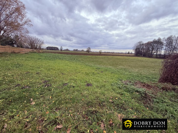 Działka 3980m2 Tykocin — zdjęcie od frontu