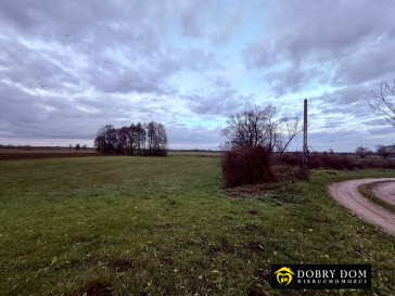 Działka 3980m2 Tykocin — wnętrze 2
