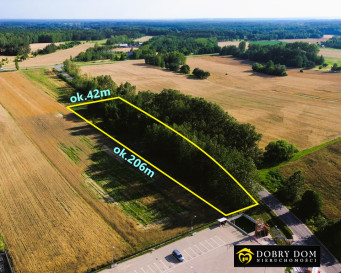 Działka 7032m2 Choroszcz — widok główny