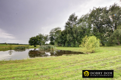 Dom 35m2 Iwaniszki — zdjęcie 46 z 51