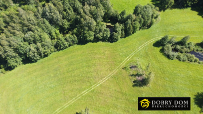 Działka 3012m2 Mierkinie — zdjęcie 6 z 17