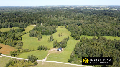 Działka 3012m2 Mierkinie — zdjęcie 9 z 17