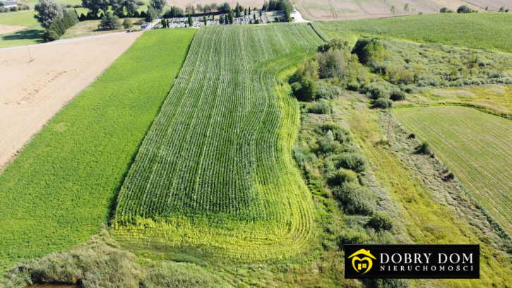 Działka Sprzedaż Kalinowo 7