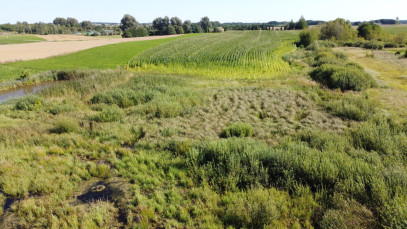 Działka 37807m2 Kalinowo — zdjęcie 14 z 17