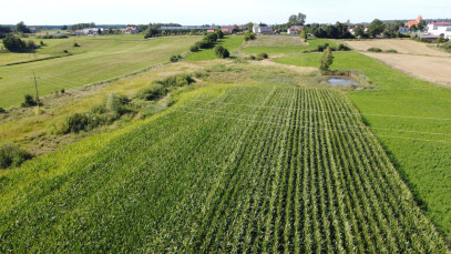 Działka 37807m2 Kalinowo — zdjęcie 16 z 17