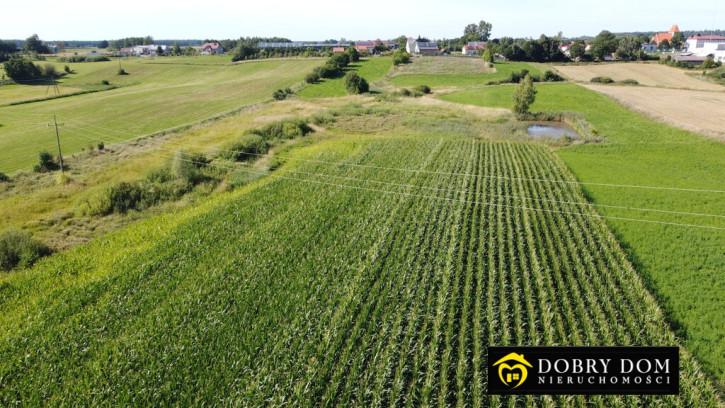 Działka Sprzedaż Kalinowo 16