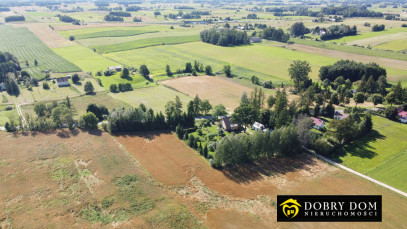 Działka 3000m2 Jabłońskie - zdjęcie 5 z 9