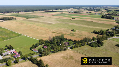 Działka 3000m2 Jabłońskie - zdjęcie 8 z 9