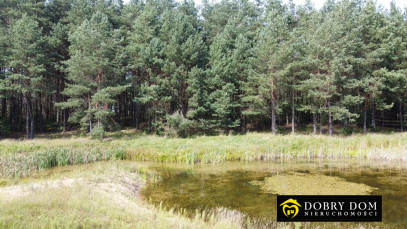 Działka 1715m2 Gorczyca — zdjęcie 6 z 17