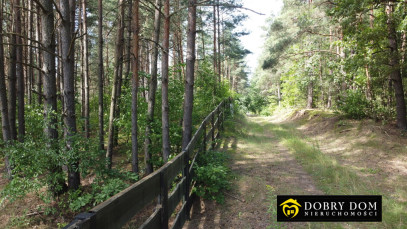 Działka 1715m2 Gorczyca — wnętrze 3