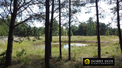 Działka 1715m2 Gorczyca — zdjęcie 5 z 17