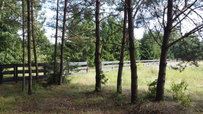 Działka 1715m2 Gorczyca - zdjęcie 14 z 17