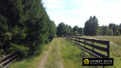 Działka 1715m2 Gorczyca — zdjęcie 16 z 17