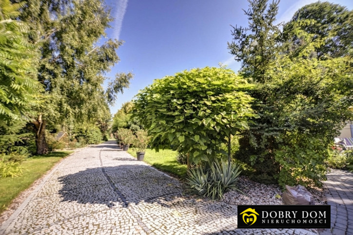 Dom Sprzedaż Płonka-Strumianka 24