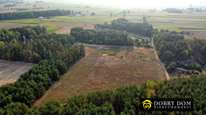 Działka 1314m2 Góra — wnętrze 3