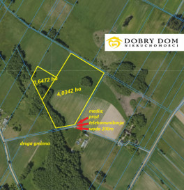 Działka 46814m2 Poniatowicze - zdjęcie od frontu