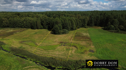 Działka 4900m2 Podzałuki — widok główny