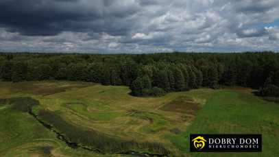 Działka 4900m2 Podzałuki — zdjęcie od frontu