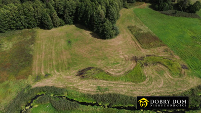 Działka 4900m2 Podzałuki — wnętrze 2