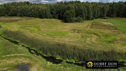 Działka 4900m2 Podzałuki — zdjęcie 5 z 14