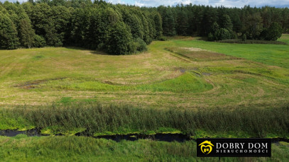 Działka 4900m2 Podzałuki — zdjęcie 6 z 14