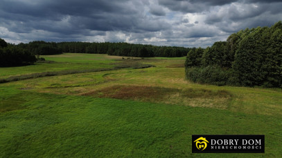 Działka 4900m2 Podzałuki — zdjęcie 7 z 14