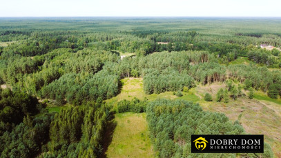 Działka 18200m2 Rudawka — wnętrze 2