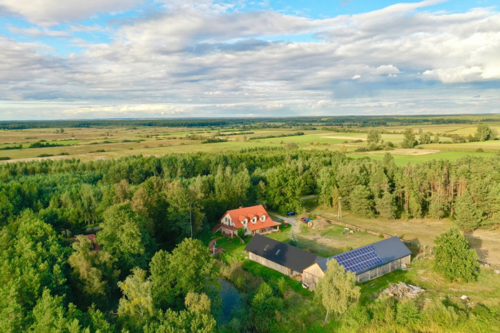Obiekt Sprzedaż Zajki 1