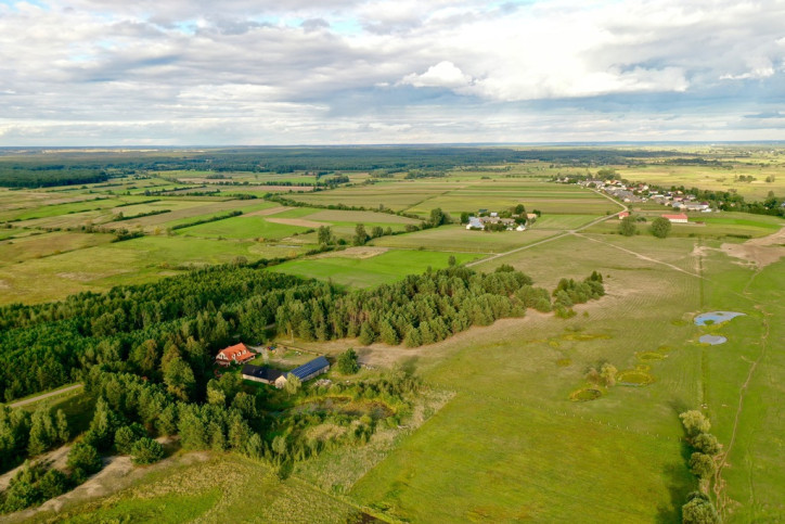 Obiekt Sprzedaż Zajki 38