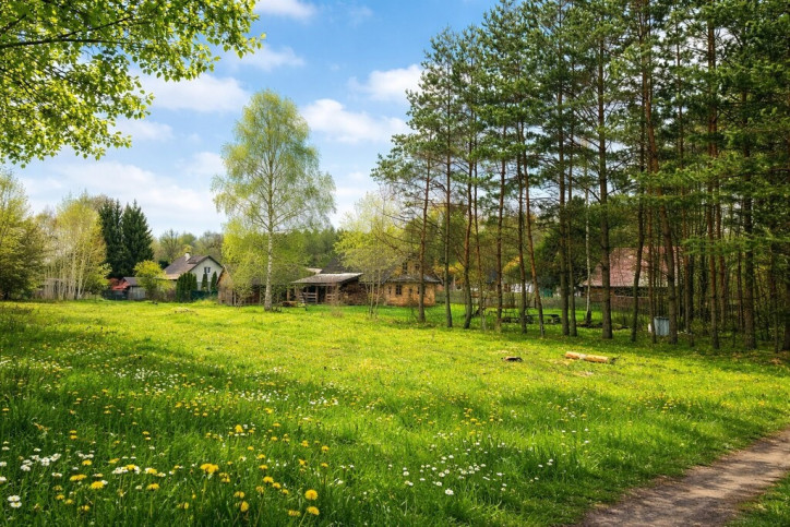Działka Sprzedaż Białowieża 3