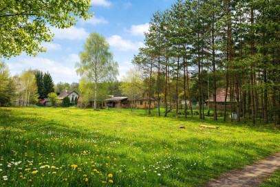 Działka 1111m2 Białowieża - wnętrze 2