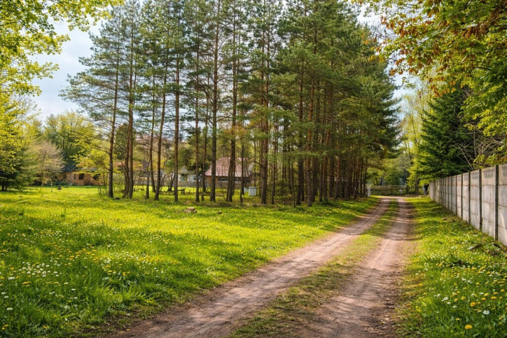 Działka Sprzedaż Białowieża 4